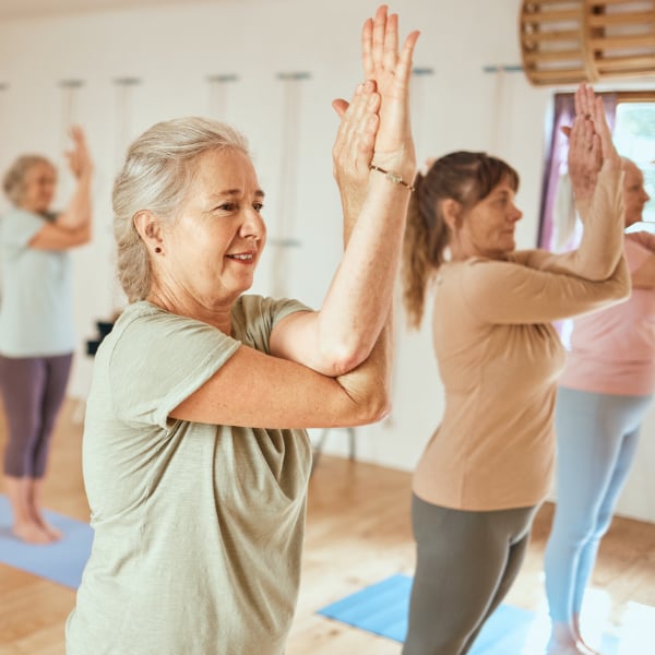 Healthy heart support