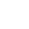 Professional development  2